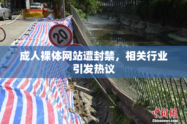 成人裸体网站遭封禁，相关行业引发热议