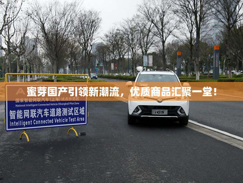 蜜芽国产引领新潮流，优质商品汇聚一堂！