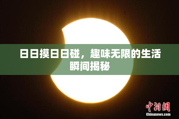 日日摸日日碰，趣味无限的生活瞬间揭秘