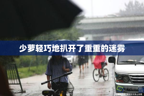 少萝轻巧地扒开了重重的迷雾