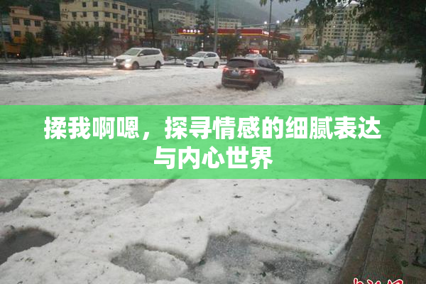 揉我啊嗯，探寻情感的细腻表达与内心世界
