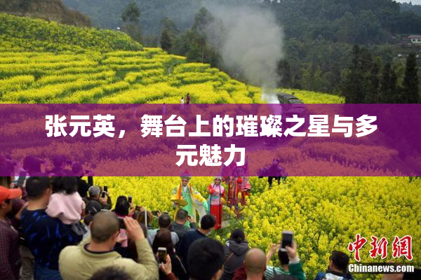 张元英，舞台上的璀璨之星与多元魅力