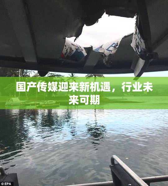 国产传媒迎来新机遇，行业未来可期