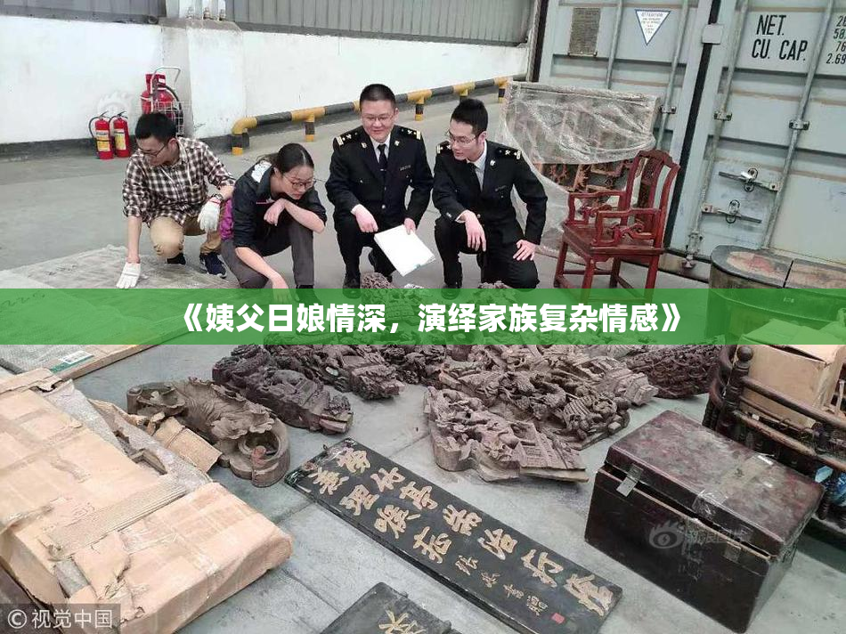 《姨父日娘情深，演绎家族复杂情感》