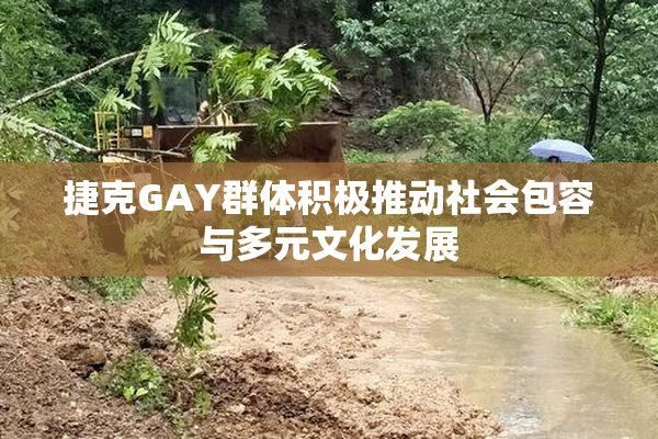 捷克GAY群体积极推动社会包容与多元文化发展