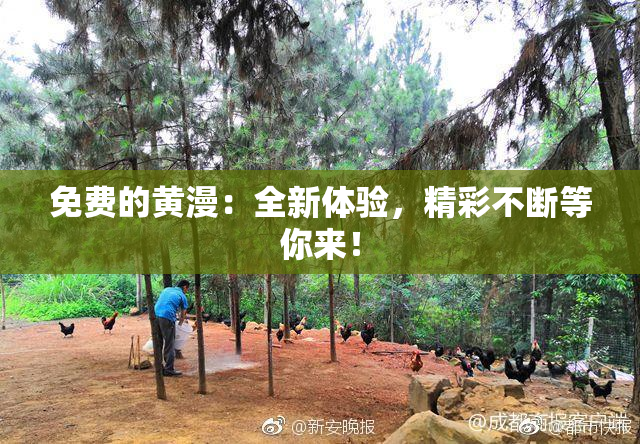 免费的黄漫：全新体验，精彩不断等你来！