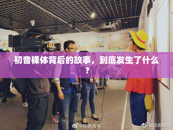 初音裸体背后的故事，到底发生了什么？