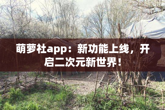 萌萝社app：新功能上线，开启二次元新世界！