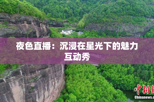 夜色直播：沉浸在星光下的魅力互动秀