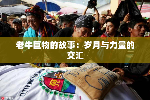 老牛巨物的故事：岁月与力量的交汇