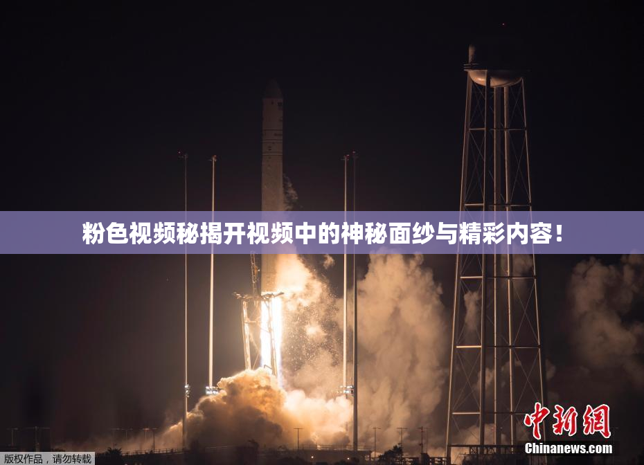 粉色视频秘揭开视频中的神秘面纱与精彩内容！