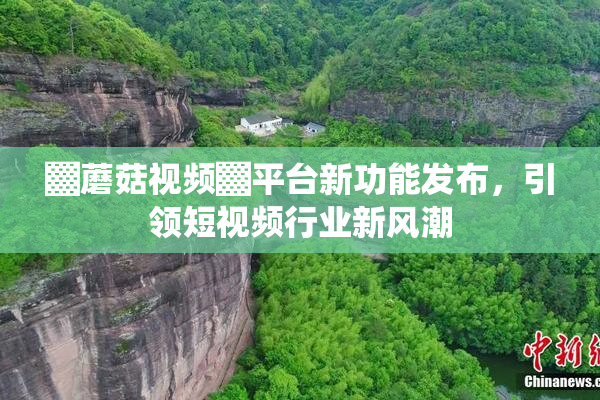 ▓蘑菇视频▓平台新功能发布，引领短视频行业新风潮