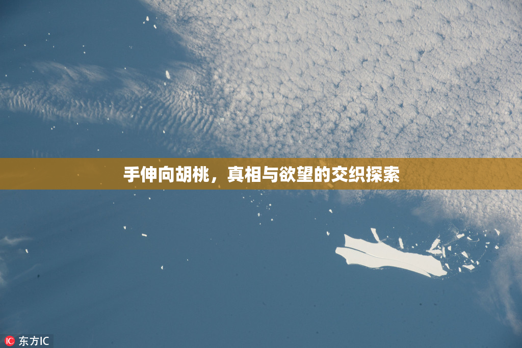 手伸向胡桃，真相与欲望的交织探索