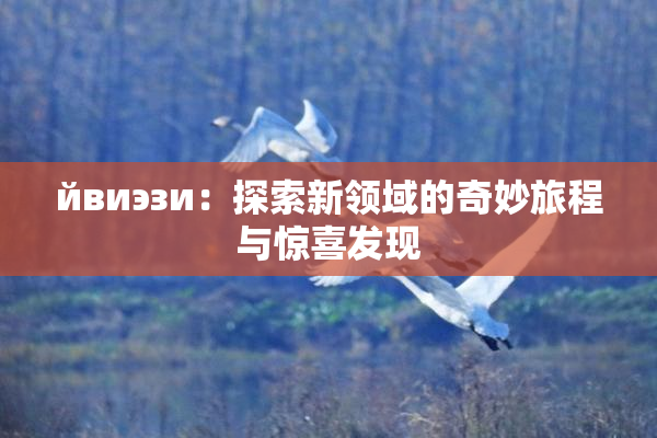 йвиэзи：探索新领域的奇妙旅程与惊喜发现