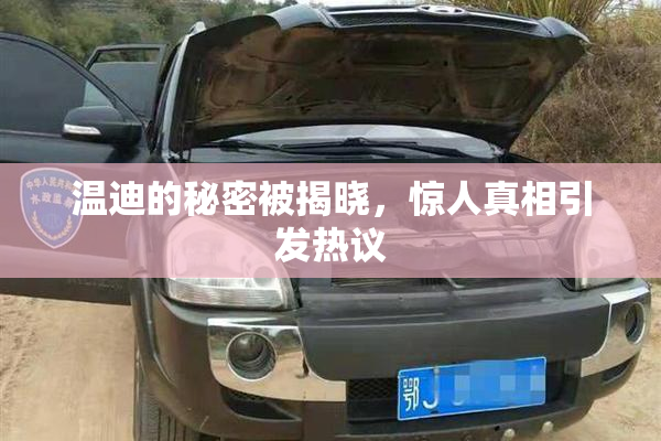 温迪的秘密被揭晓，惊人真相引发热议