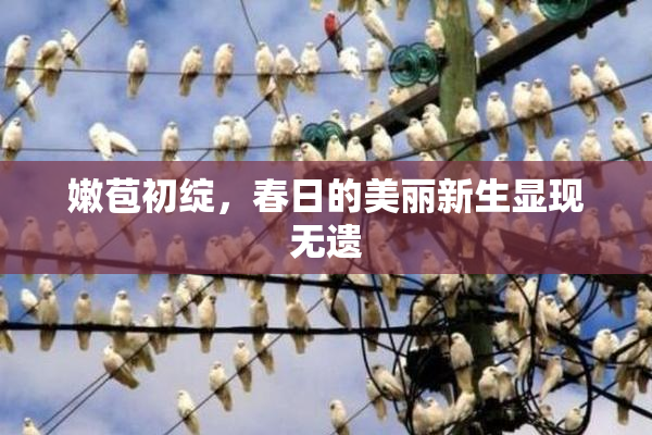 嫩苞初绽，春日的美丽新生显现无遗