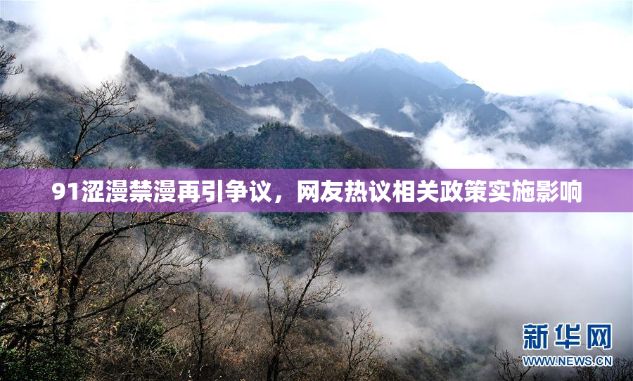 91涩漫禁漫再引争议，网友热议相关政策实施影响