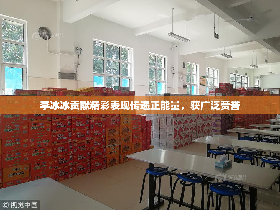 李冰冰贡献精彩表现传递正能量，获广泛赞誉