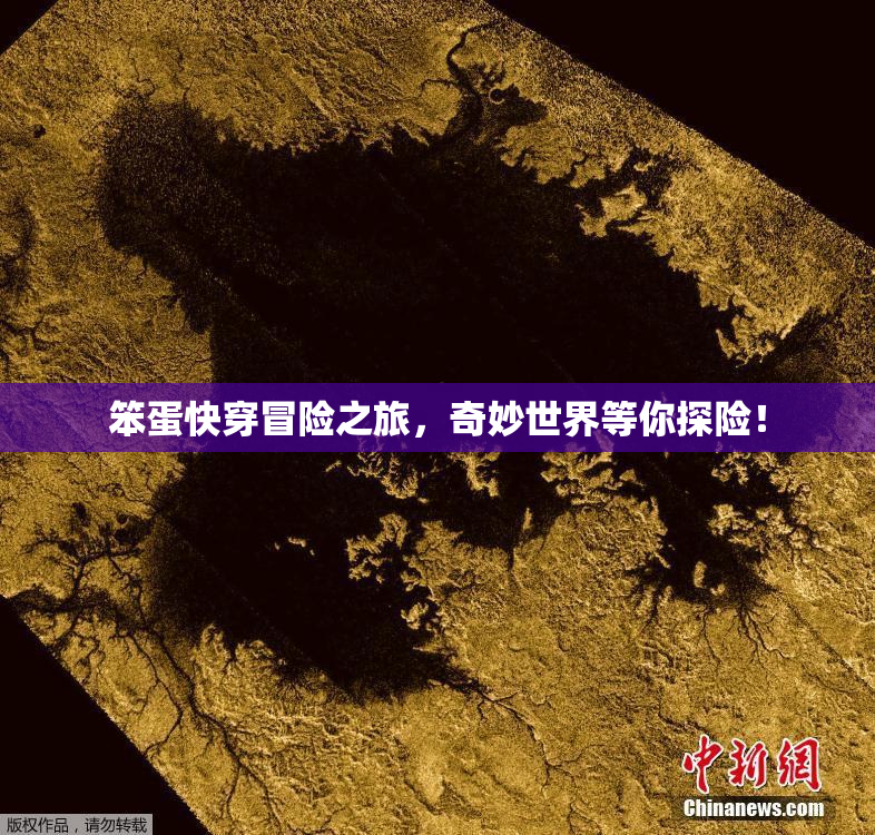 笨蛋快穿冒险之旅，奇妙世界等你探险！