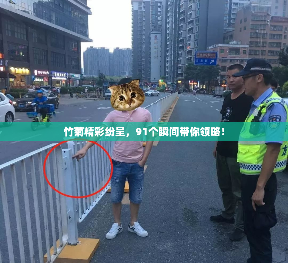 竹菊精彩纷呈，91个瞬间带你领略！