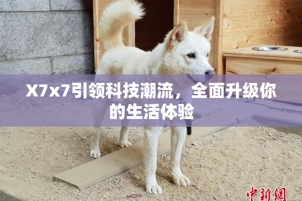 X7x7引领科技潮流，全面升级你的生活体验