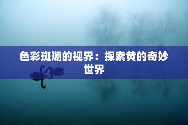 色彩斑斓的视界：探索黄的奇妙世界