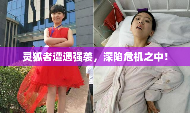 灵狐者遭遇强袭，深陷危机之中！