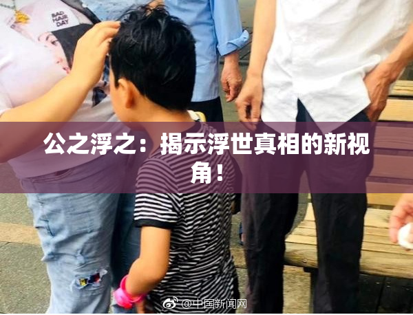 公之浮之：揭示浮世真相的新视角！