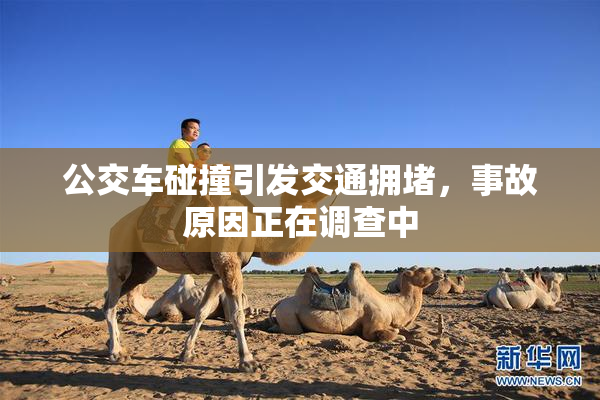 公交车碰撞引发交通拥堵，事故原因正在调查中