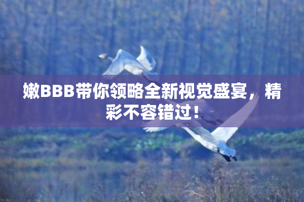 嫩BBB带你领略全新视觉盛宴，精彩不容错过！