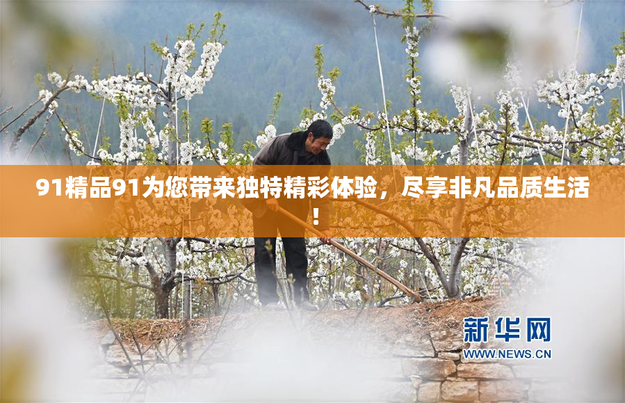 91精品91为您带来独特精彩体验，尽享非凡品质生活！