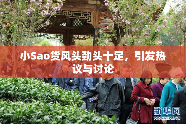 小Sao货风头劲头十足，引发热议与讨论