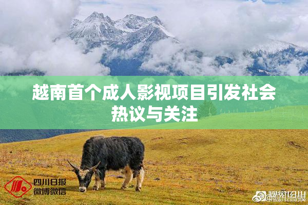 越南首个成人影视项目引发社会热议与关注