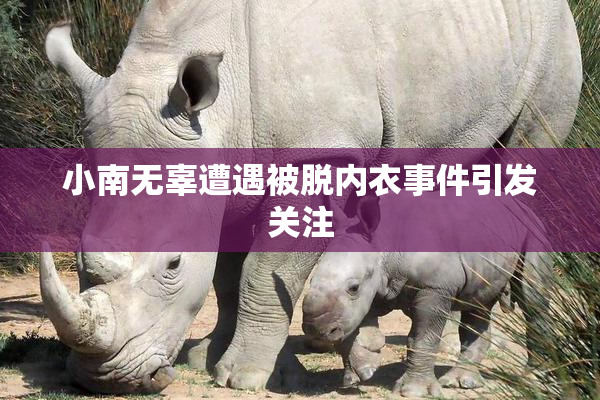 小南无辜遭遇被脱内衣事件引发关注