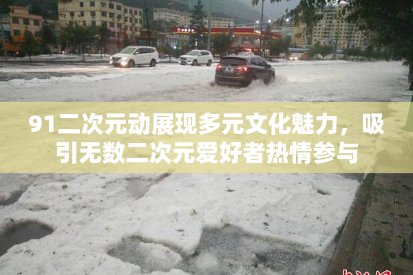 91二次元动展现多元文化魅力，吸引无数二次元爱好者热情参与