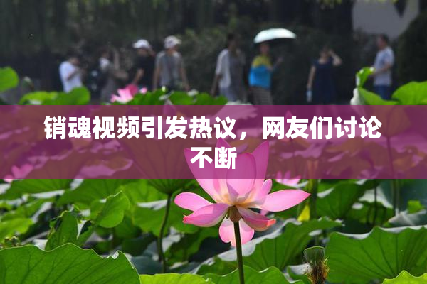 销魂视频引发热议，网友们讨论不断