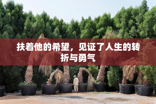 扶着他的希望，见证了人生的转折与勇气