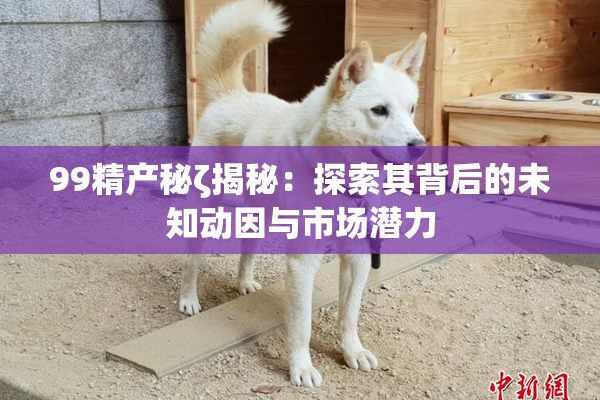 99精产秘ζ揭秘：探索其背后的未知动因与市场潜力