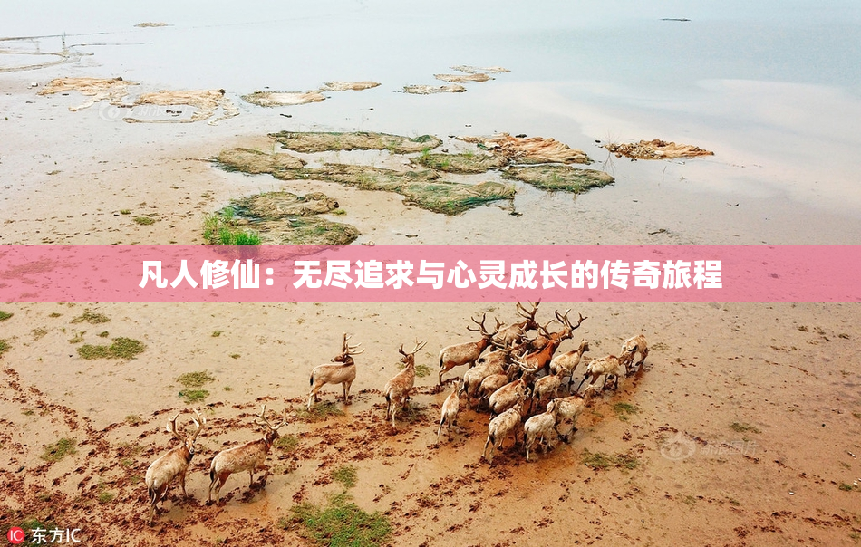 凡人修仙：无尽追求与心灵成长的传奇旅程