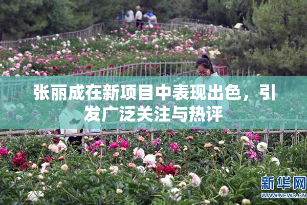 张丽成在新项目中表现出色，引发广泛关注与热评