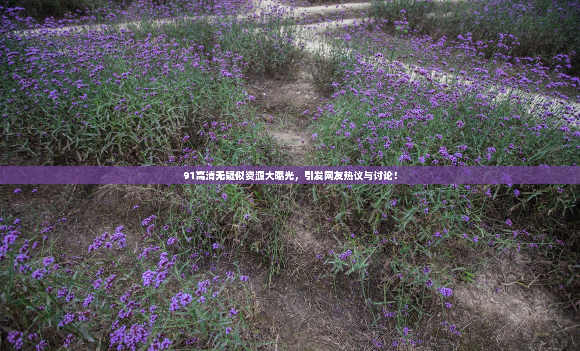 91高清无疑似资源大曝光，引发网友热议与讨论！