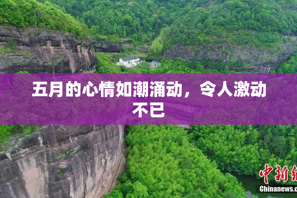 五月的心情如潮涌动，令人激动不已