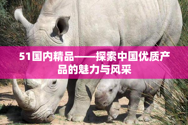 51国内精品——探索中国优质产品的魅力与风采
