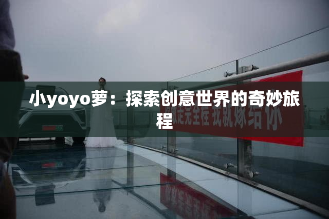 小yoyo萝：探索创意世界的奇妙旅程