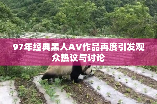 97年经典黑人AV作品再度引发观众热议与讨论
