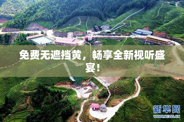 免费无遮挡黄，畅享全新视听盛宴！