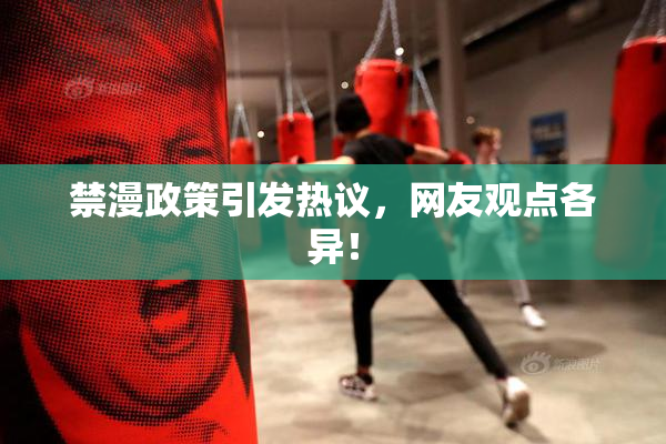 禁漫政策引发热议，网友观点各异！