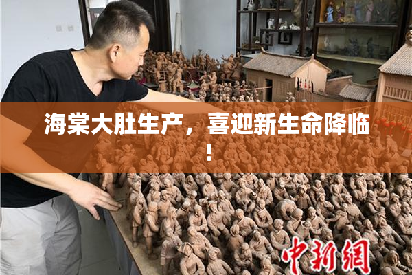 海棠大肚生产，喜迎新生命降临！