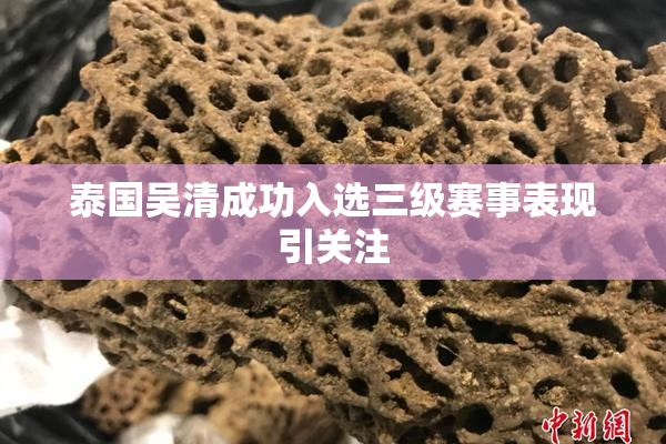 泰国吴清成功入选三级赛事表现引关注