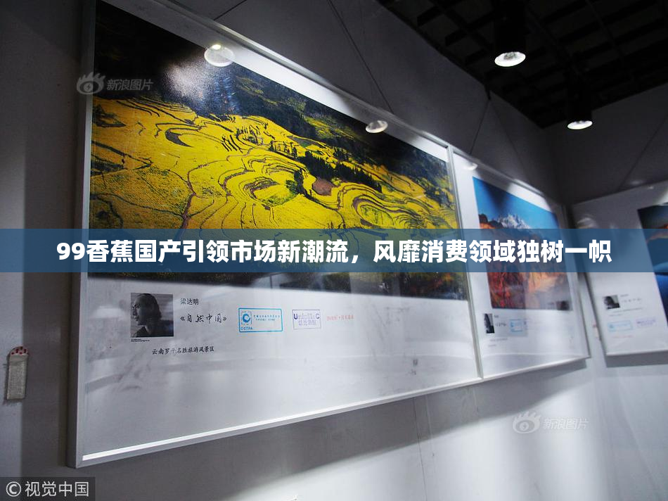 99香蕉国产引领市场新潮流，风靡消费领域独树一帜